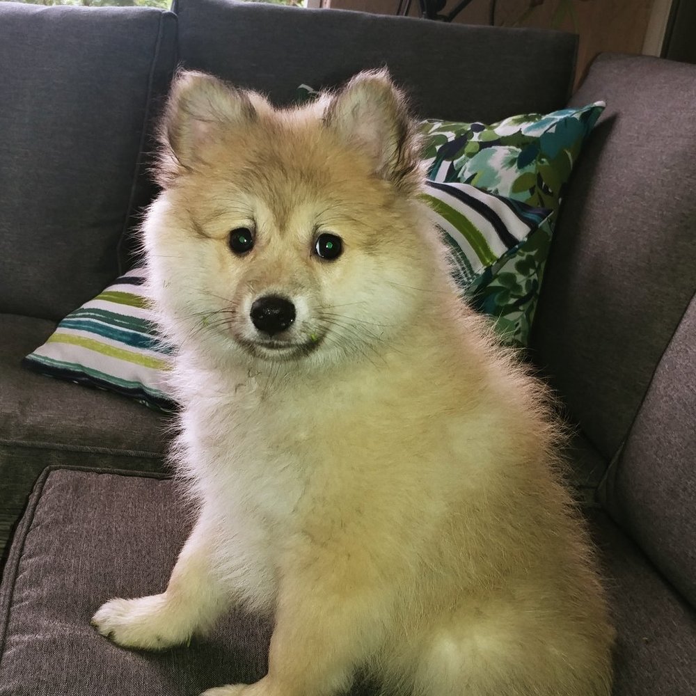 Meet your Posher, Marlene